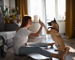 Komunikace psů aneb co říká můj pes